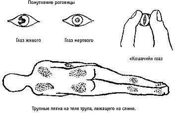 Стиль спецназа. Система боевого выживания - _39.jpg