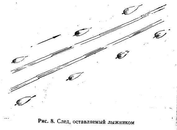 Подготовка войскового разведчика - _10.jpg