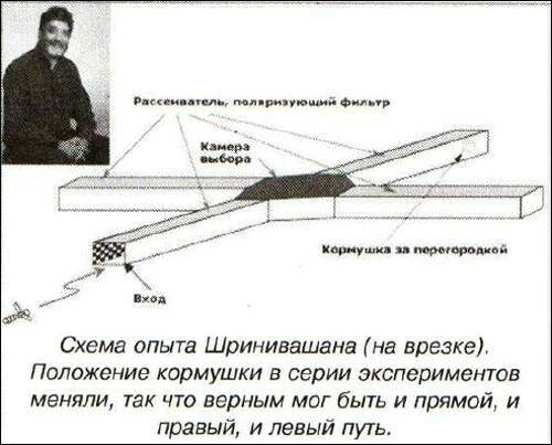 «Открытия и гипотезы»  №1, 2012 - i_031.jpg