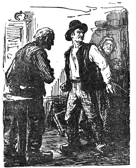 Собрание сочинений. Т. 12. Земля - i_020.png