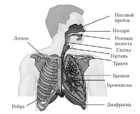 Говори красиво и уверенно. Постановка голоса и речи - i_006.jpg