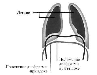 Говори красиво и уверенно. Постановка голоса и речи - i_007.jpg