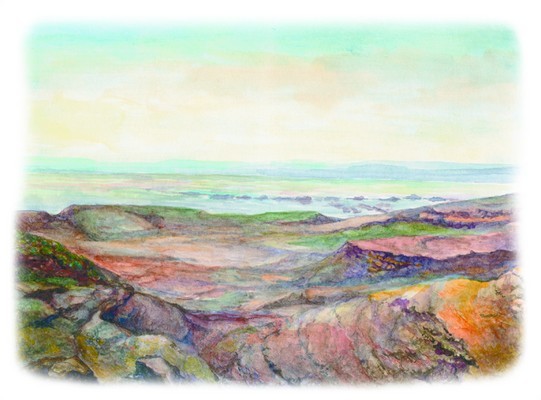 Вымершие животные - pic_12.jpg