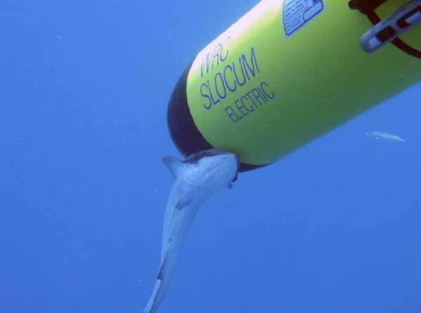 Системы борьбы с необитаемыми аппаратами — асимметричный ответ на угрозы XXI века - i_048.jpg