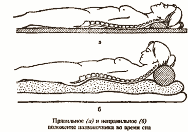 Золотые правила здоровья - i_005.png