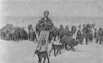 Три года в Кувейте - image6.png