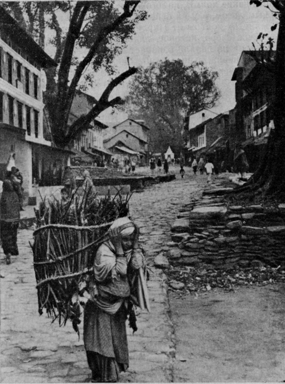 Девственная земля - image4.png