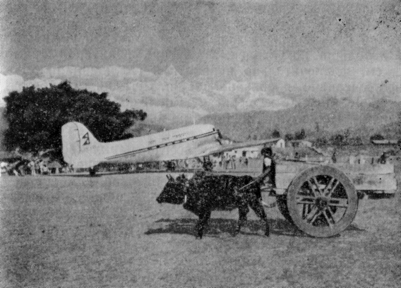 Девственная земля - image9.png