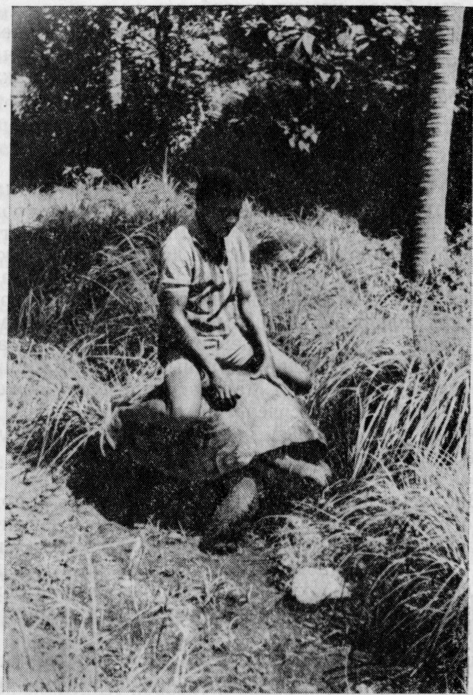 Осколки континента - image13.png