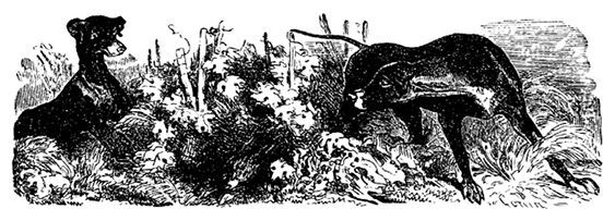 Обрученные - i_055.jpg