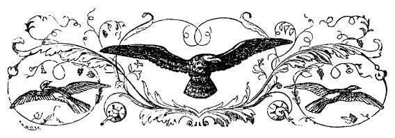 Обрученные - i_084.jpg