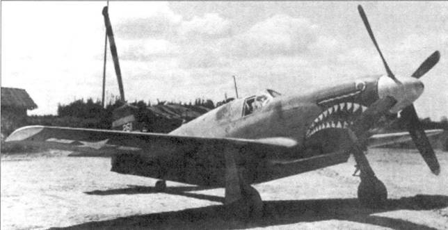 Р-51 «Mustang» Часть 2 - pic_49.jpg