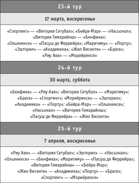 Футбол-2013. Все главные футбольные события России на предстоящий год - i_071.png