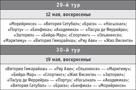 Футбол-2013. Все главные футбольные события России на предстоящий год - i_073.png