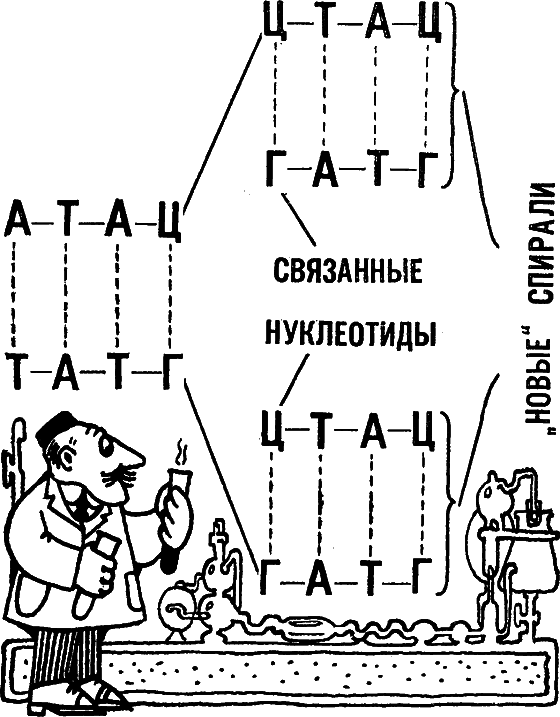 Беседы о жизни - i_049.png