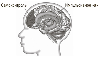 Сила воли. Как развить и укрепить - i_002.jpg