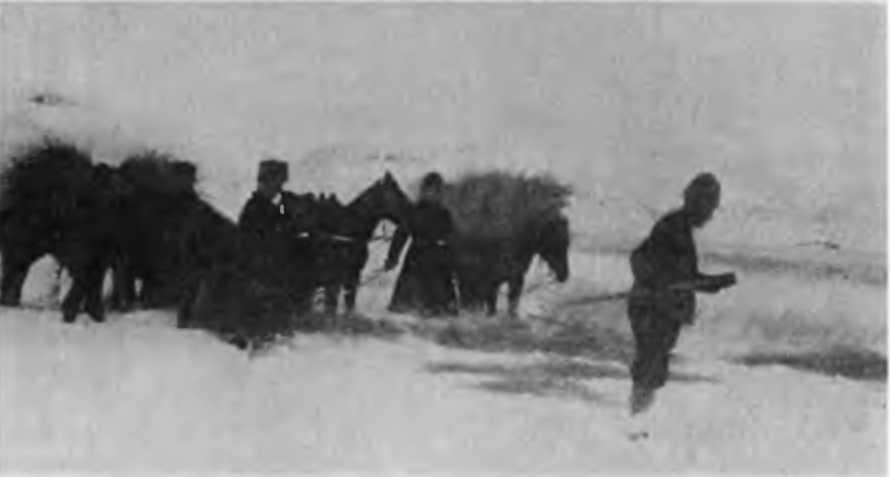 Казаки на Кавказском фронте 1914–1917 - i_031.jpg