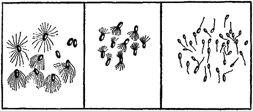 Мир микробов - i_019.png