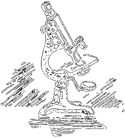 Мир микробов - i_048.png