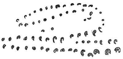 Мудрость змеи: Первобытный человек, Луна и Солнце - n08.jpg