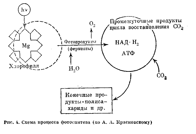 Солнечный луч - doc2fb_image_03000005.png