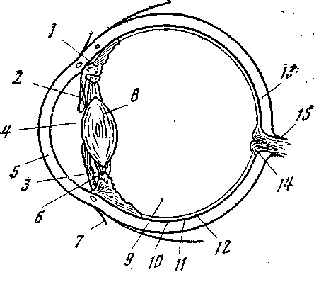 Солнечный луч - doc2fb_image_03000007.png