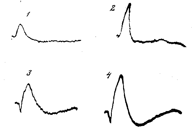 Солнечный луч - doc2fb_image_0300000A.png