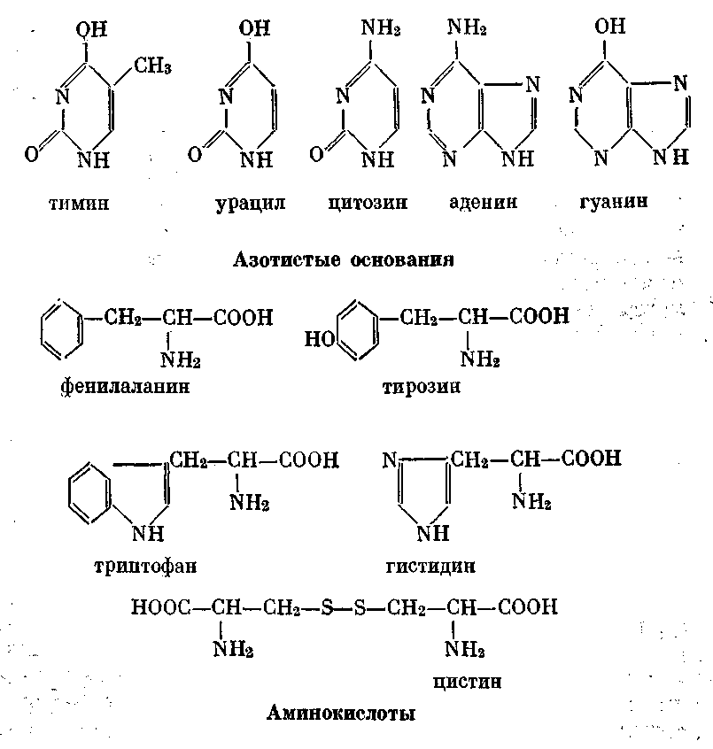 Солнечный луч - doc2fb_image_03000018.png