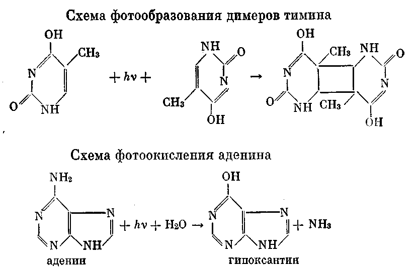 Солнечный луч - doc2fb_image_0300001A.png