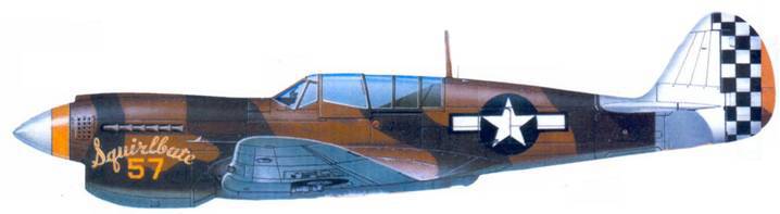 Curtiss P-40 Часть 1 - pic_108.jpg