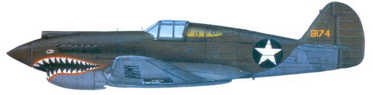 Curtiss P-40 Часть 1 - pic_98.jpg