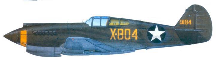 Curtiss P-40 Часть 1 - pic_99.jpg