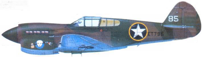 Curtiss P-40 Часть 2 - pic_157.jpg