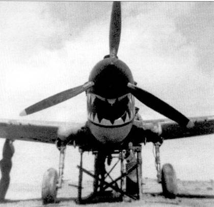 Curtiss P-40 часть 3 - pic_102.jpg