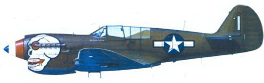 Curtiss P-40 часть 3 - pic_128.jpg
