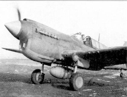 Curtiss P-40 часть 4 - pic_24.jpg