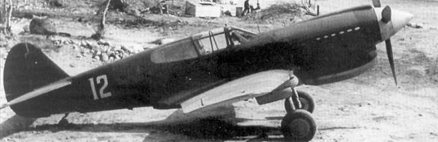 Curtiss P-40 часть 4 - pic_109.jpg