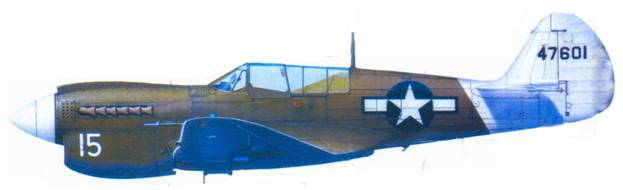 Curtiss P-40 часть 4 - pic_113.jpg