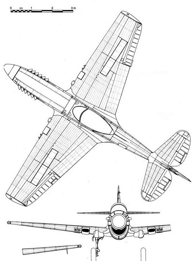 Curtiss P-40 часть 4 - pic_69.jpg