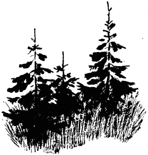 Кладовая солнца (сборник) - i_001.png