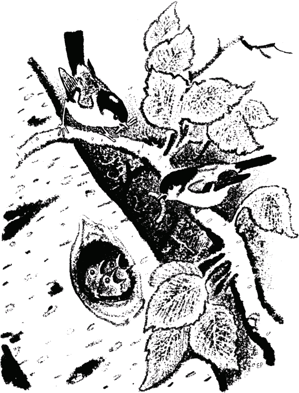 Кладовая солнца (сборник) - i_004.png