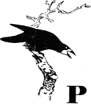 Кладовая солнца (сборник) - i_007.png