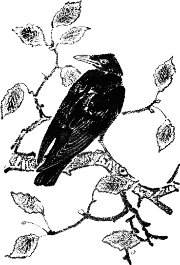 Кладовая солнца (сборник) - i_008.png