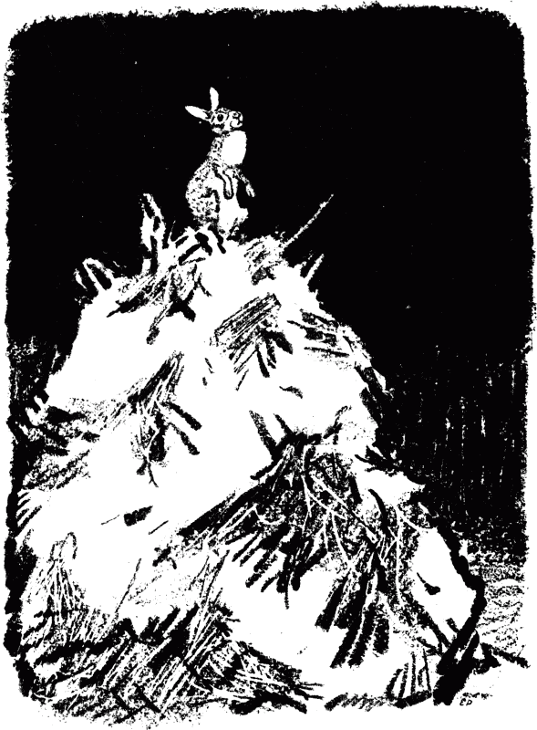 Кладовая солнца (сборник) - i_015.png