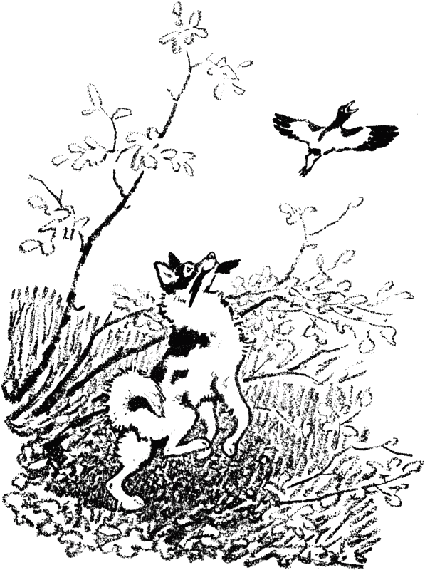 Кладовая солнца (сборник) - i_020.png