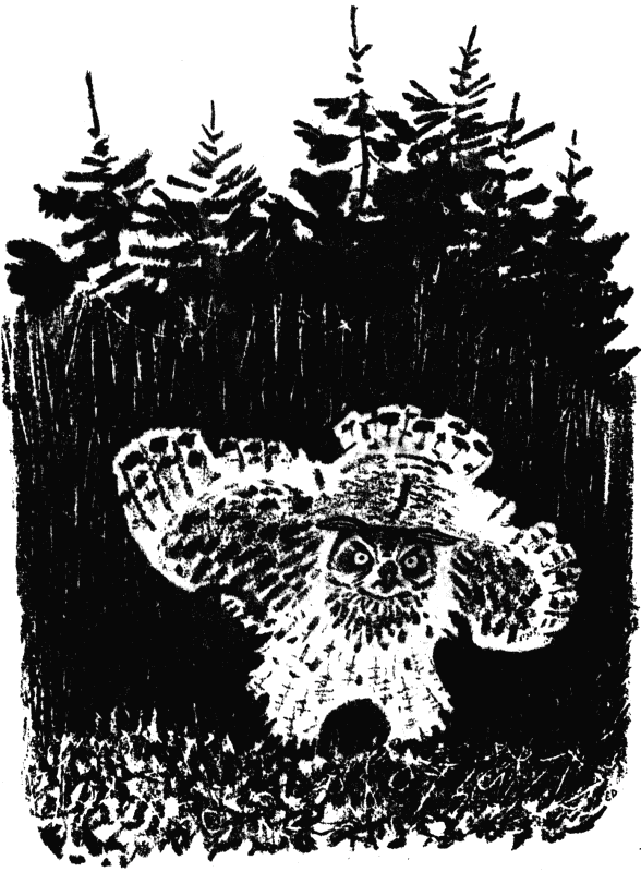 Кладовая солнца (сборник) - i_034.png