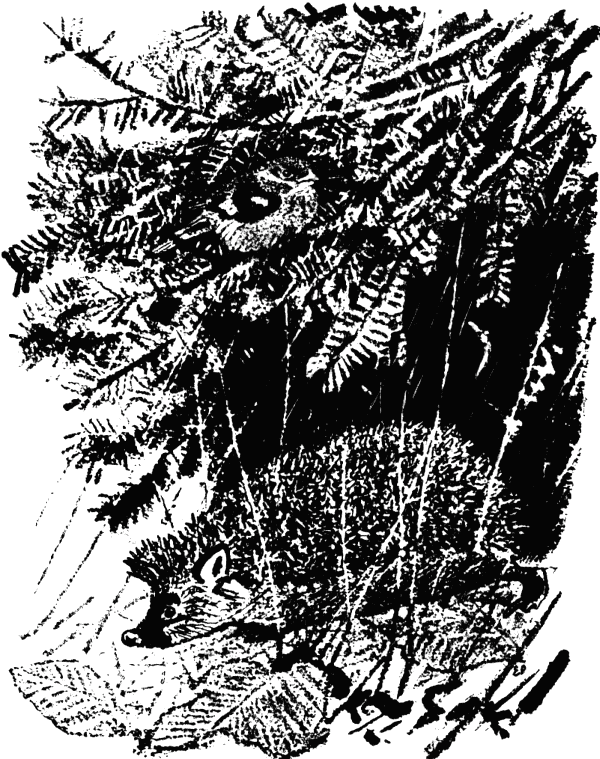 Кладовая солнца (сборник) - i_043.png