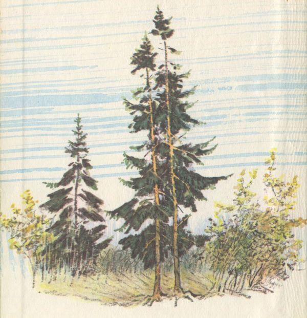 Кладовая солнца (сборник) - i_046.jpg