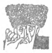 Скворец №17 (рассказы) - unused_image22.jpg