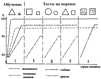 О чем рассказали «говорящие» обезьяны: Способны ли высшие животные оперировать символами? - i_005.png